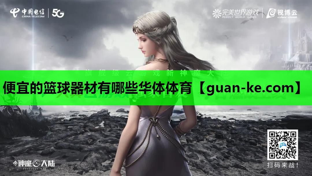便宜的篮球器材有哪些华体体育