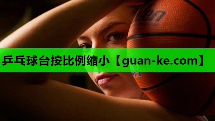 乒乓球台按比例缩小